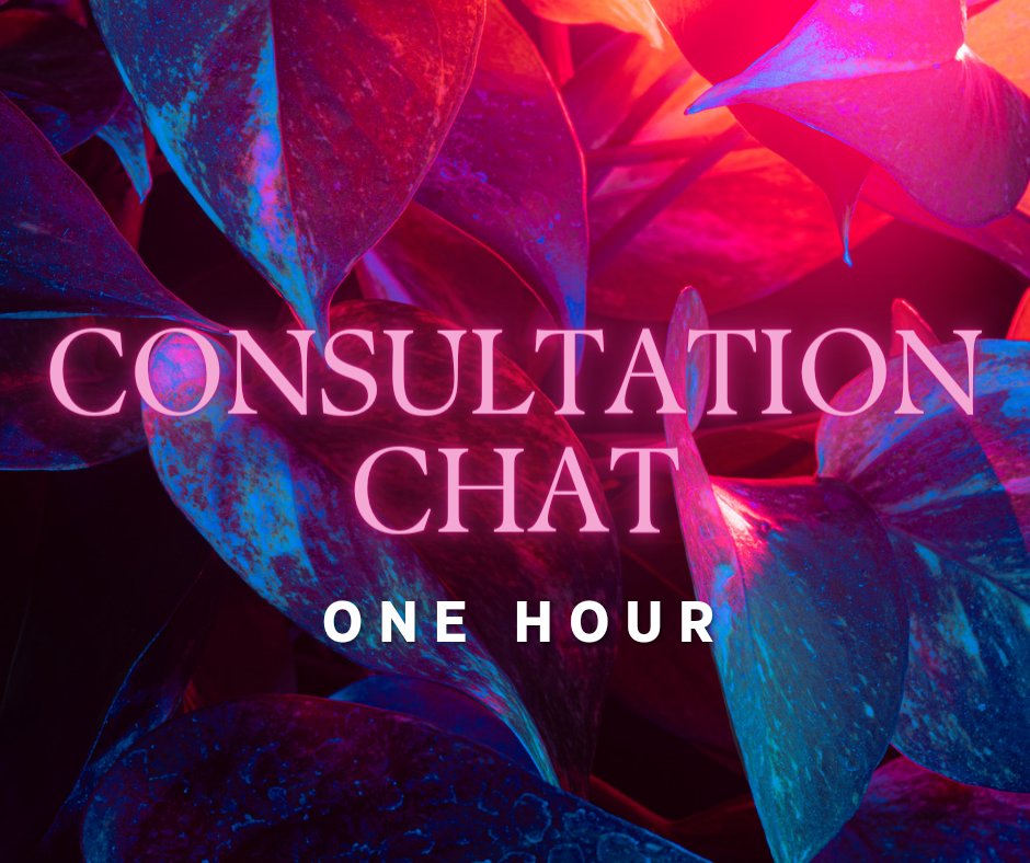 CONSULTATION CHAT ONE HOUR